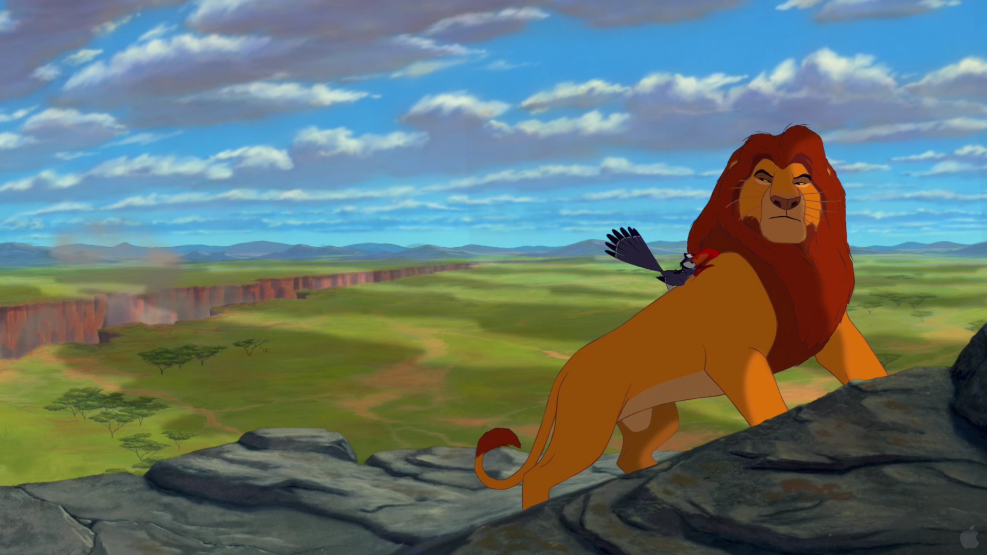 images of the lion king dowload