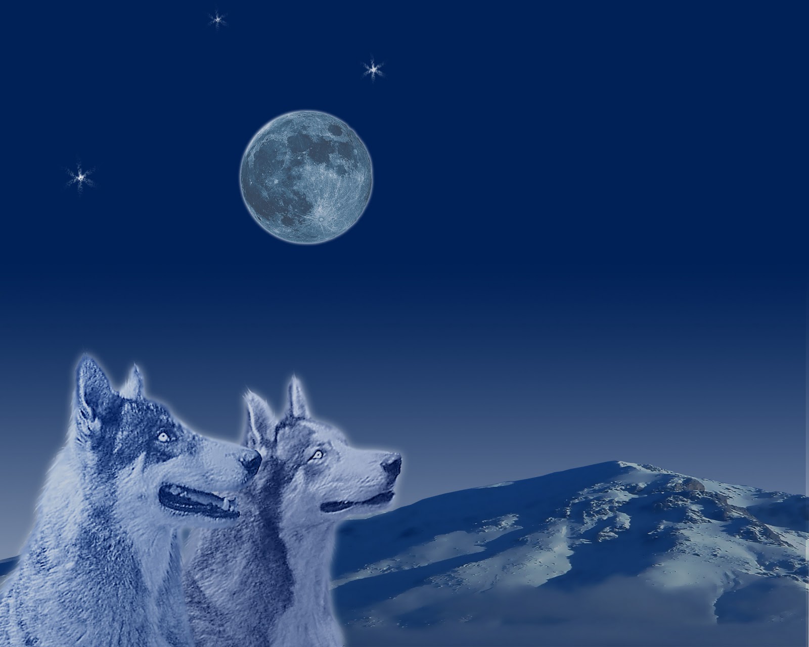 native american wolf images