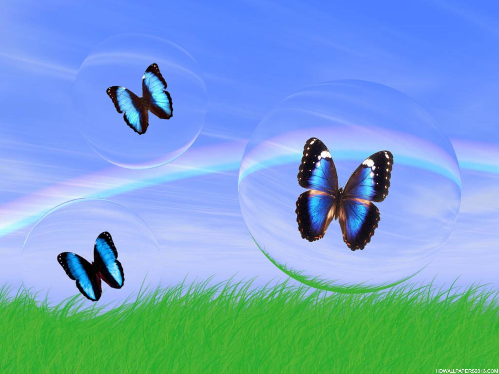 3d butterfly wallpaper