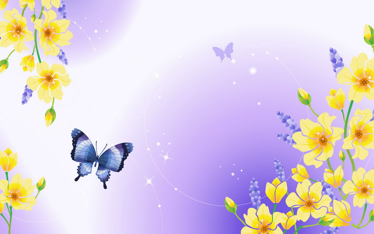 best butterfly wallpaper hd