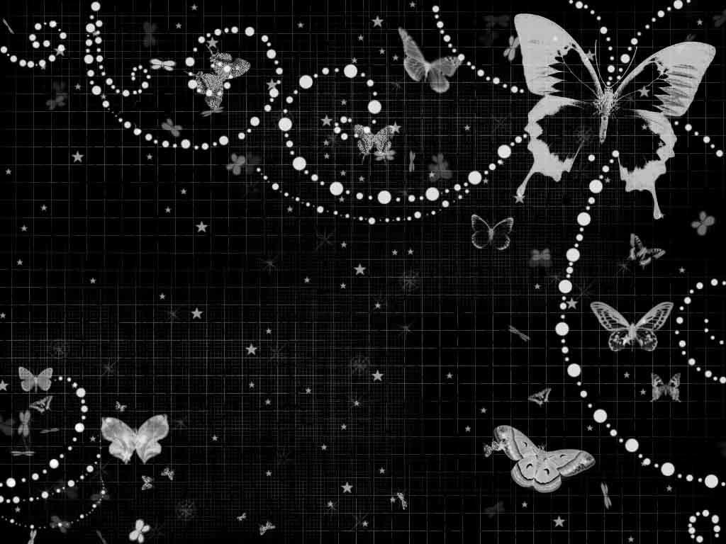 black butterfly wallpapers