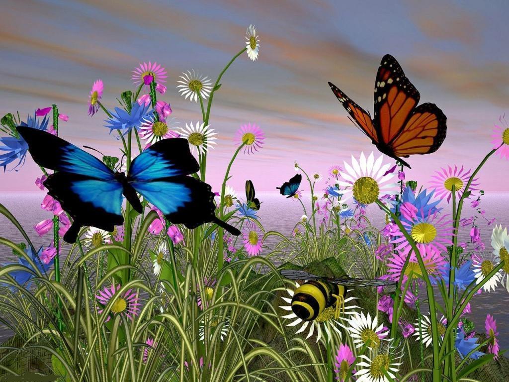 butterfly wallpaper yorkshire rose