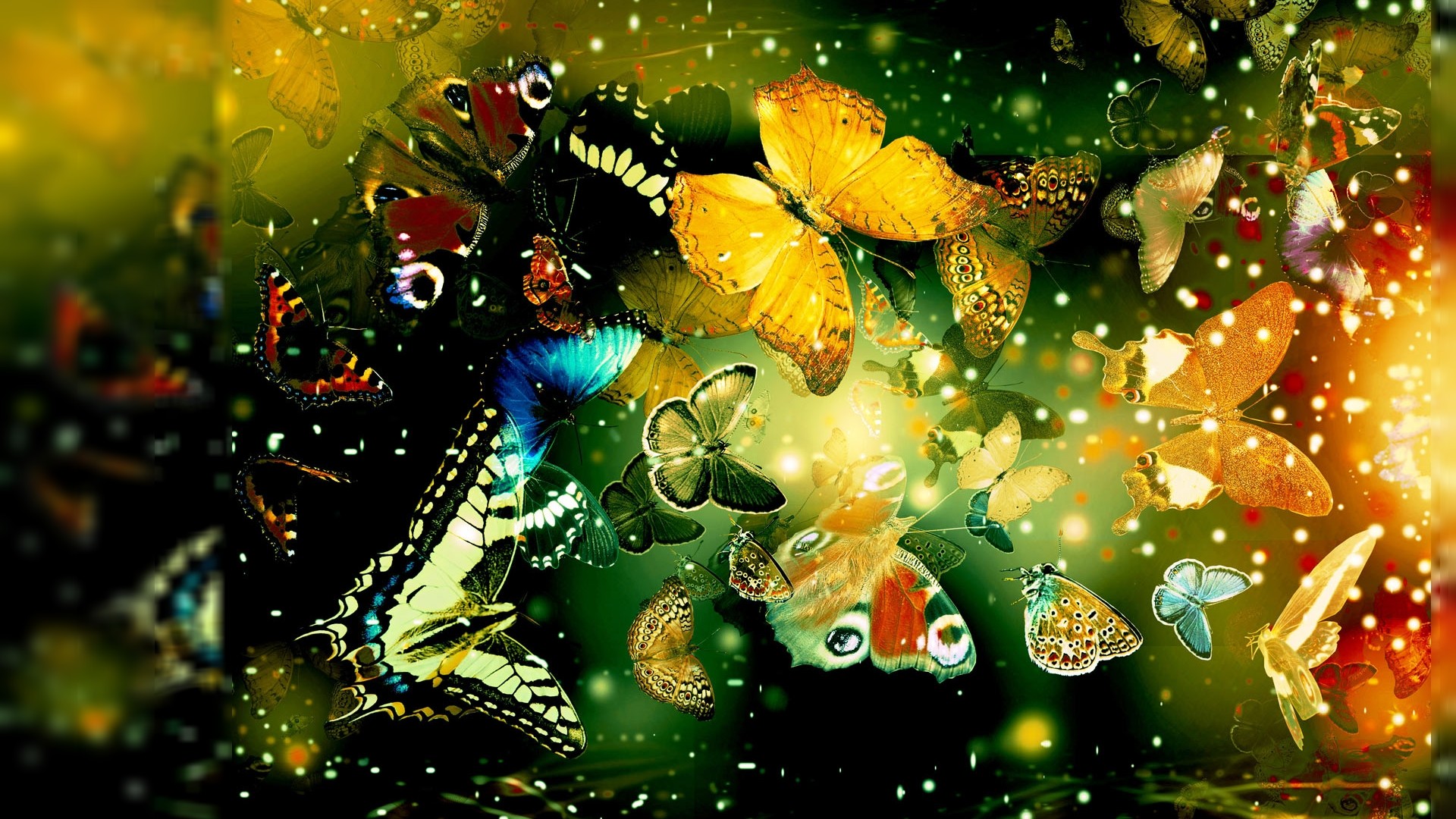 desktop butterfly free wallpaper dowload