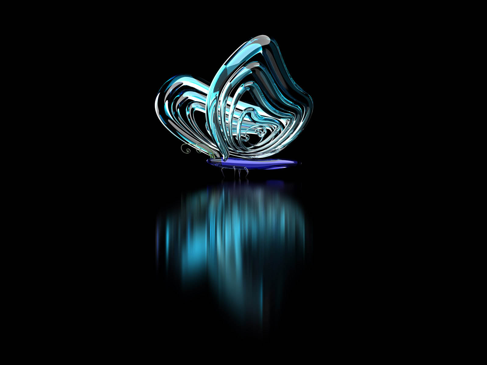 desktop butterfly photos free dowload
