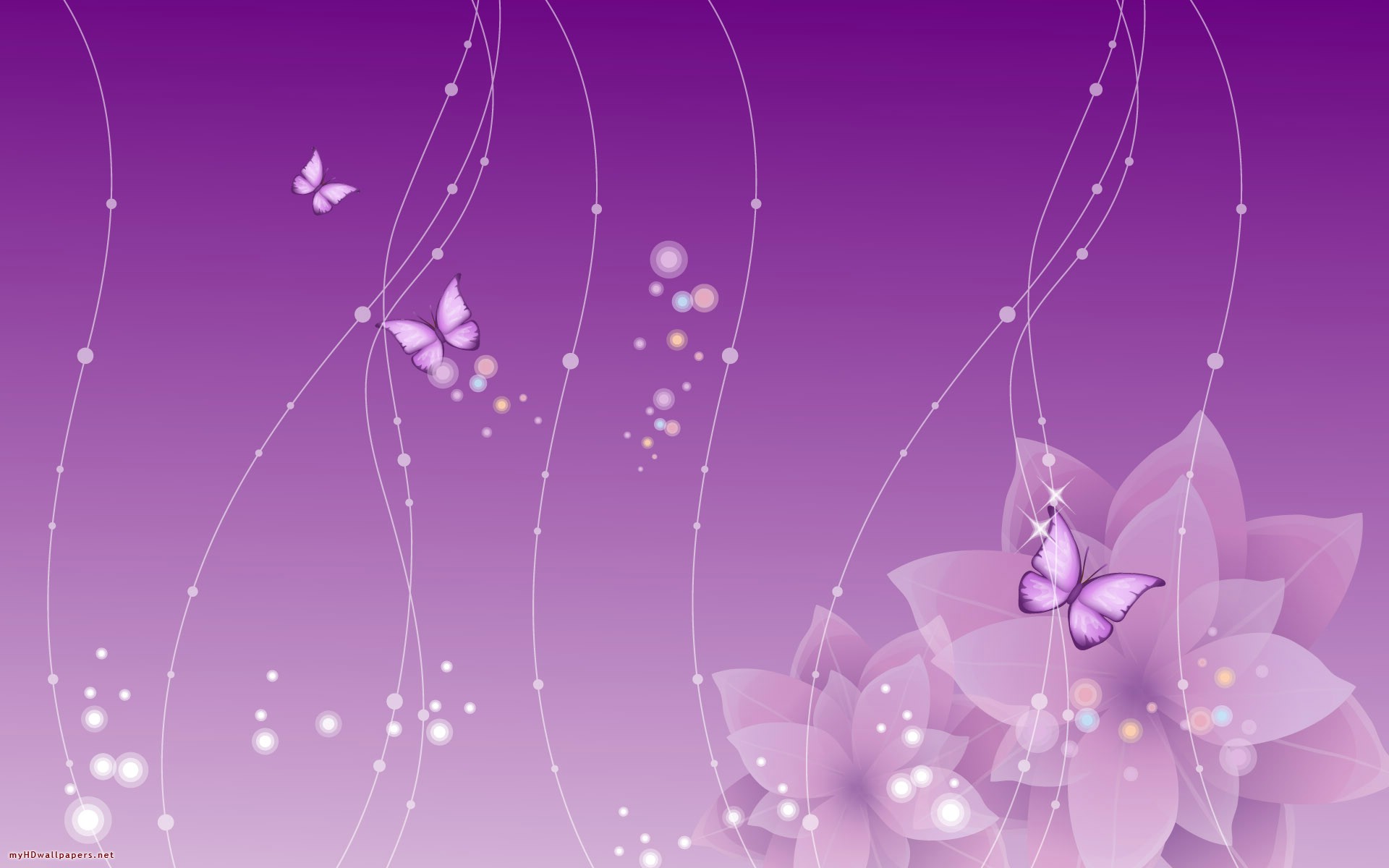 desktop butterfly pics