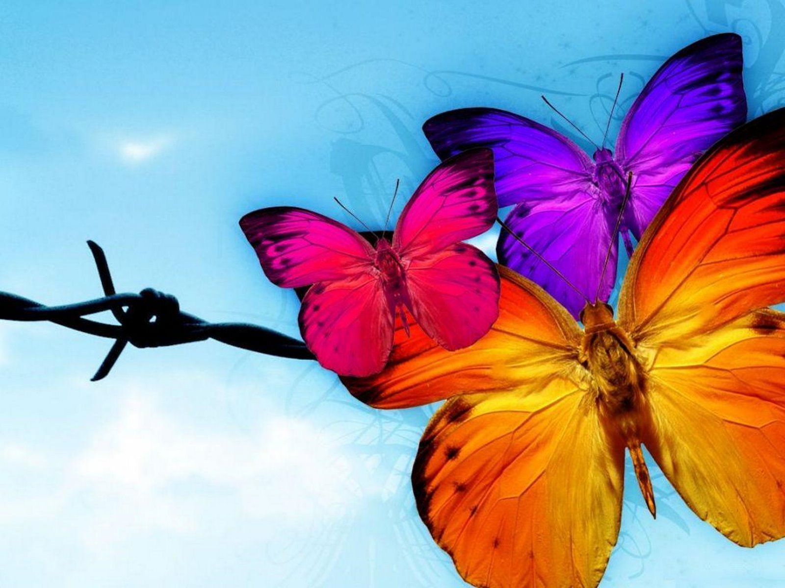 desktop childrens butterfly wallpaper
