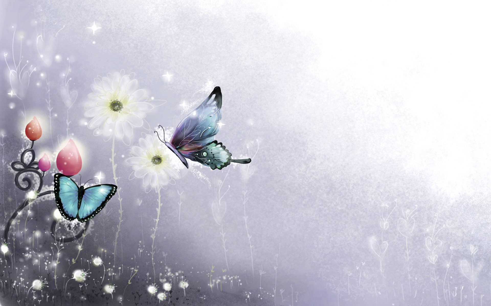 desktop hd butterfly pics wallpaper