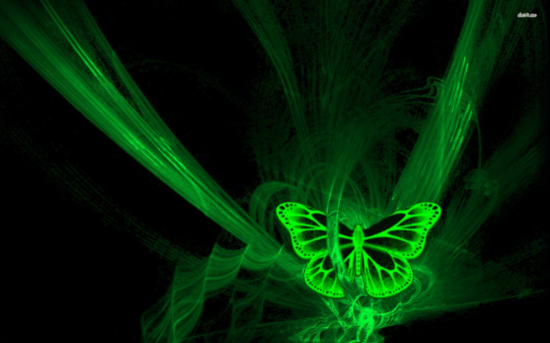 fluorescent green butterfly artistic wallpapers
