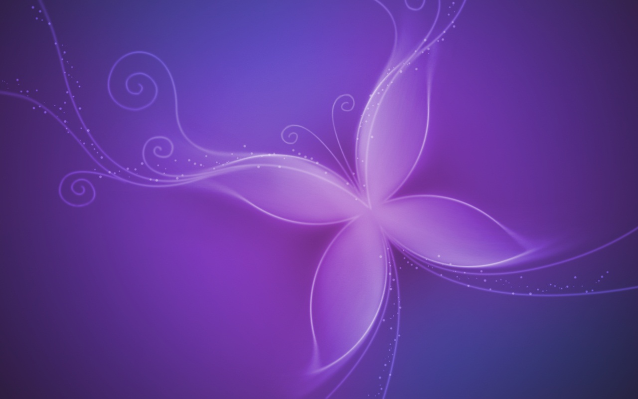 hd purple butterfly wallpaper
