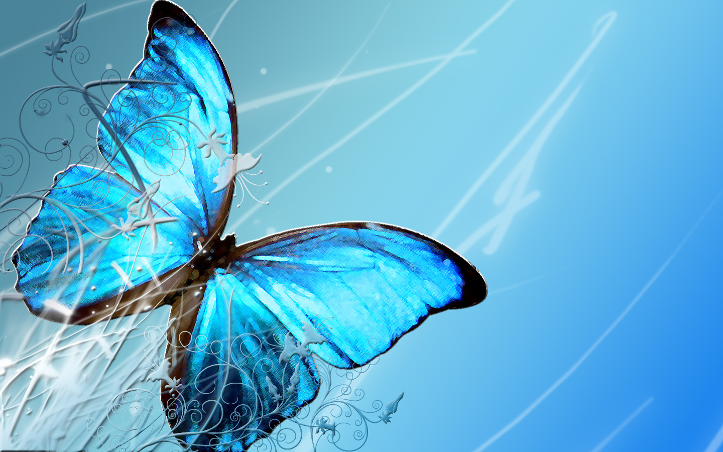 hd water beautiful butterfly