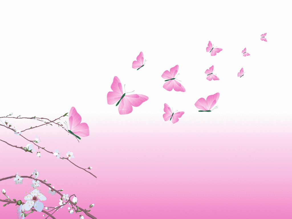 pink butterfly design