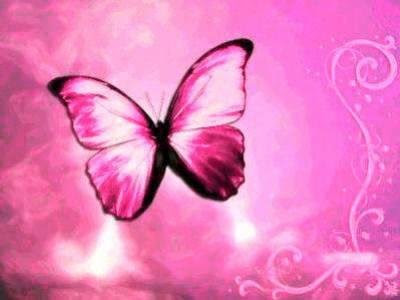 pink butterfly wallpapers