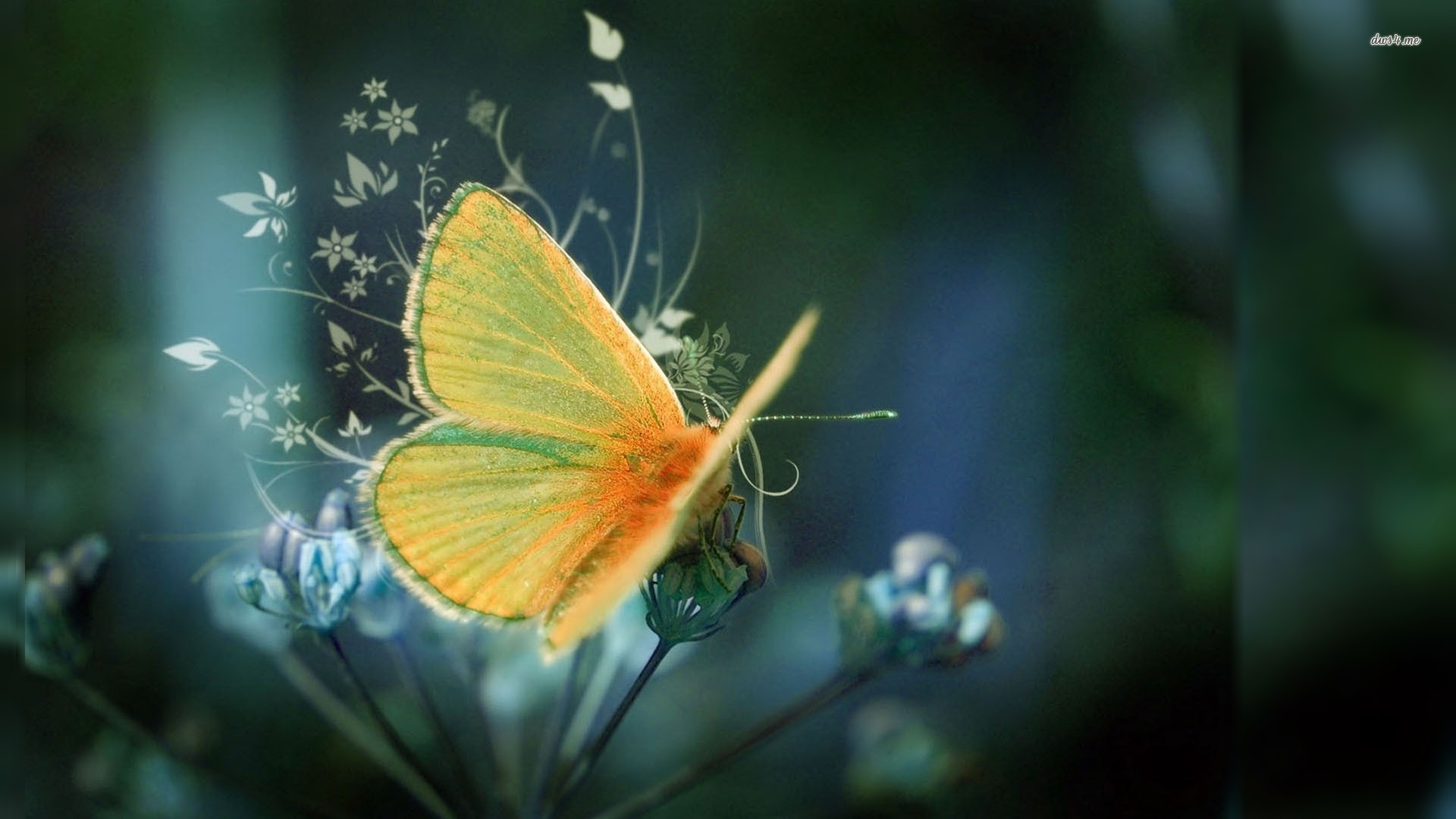 yellow butterfly 1920x1080 digital art wallpaper