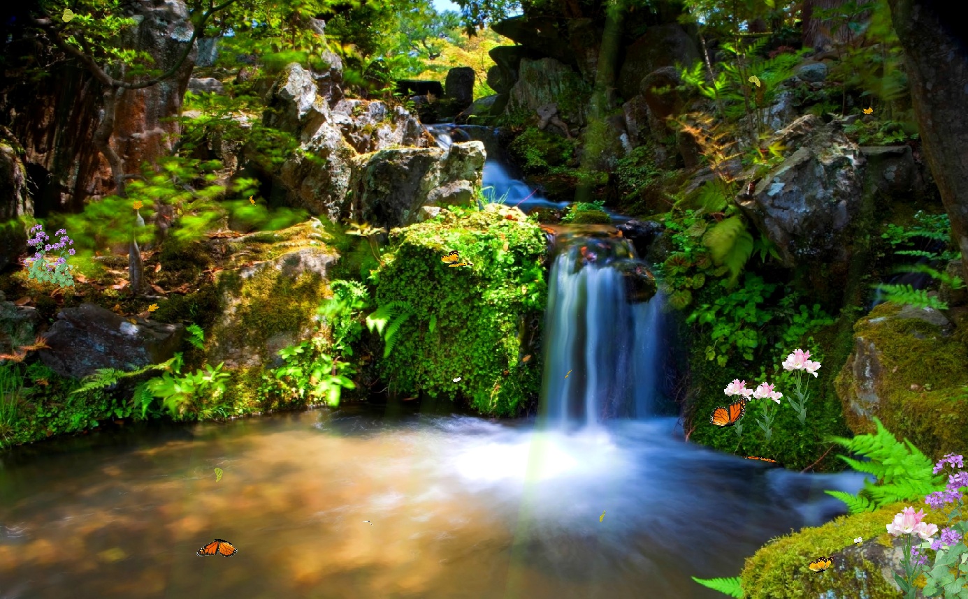 desktop animated fish backgrounds dowload