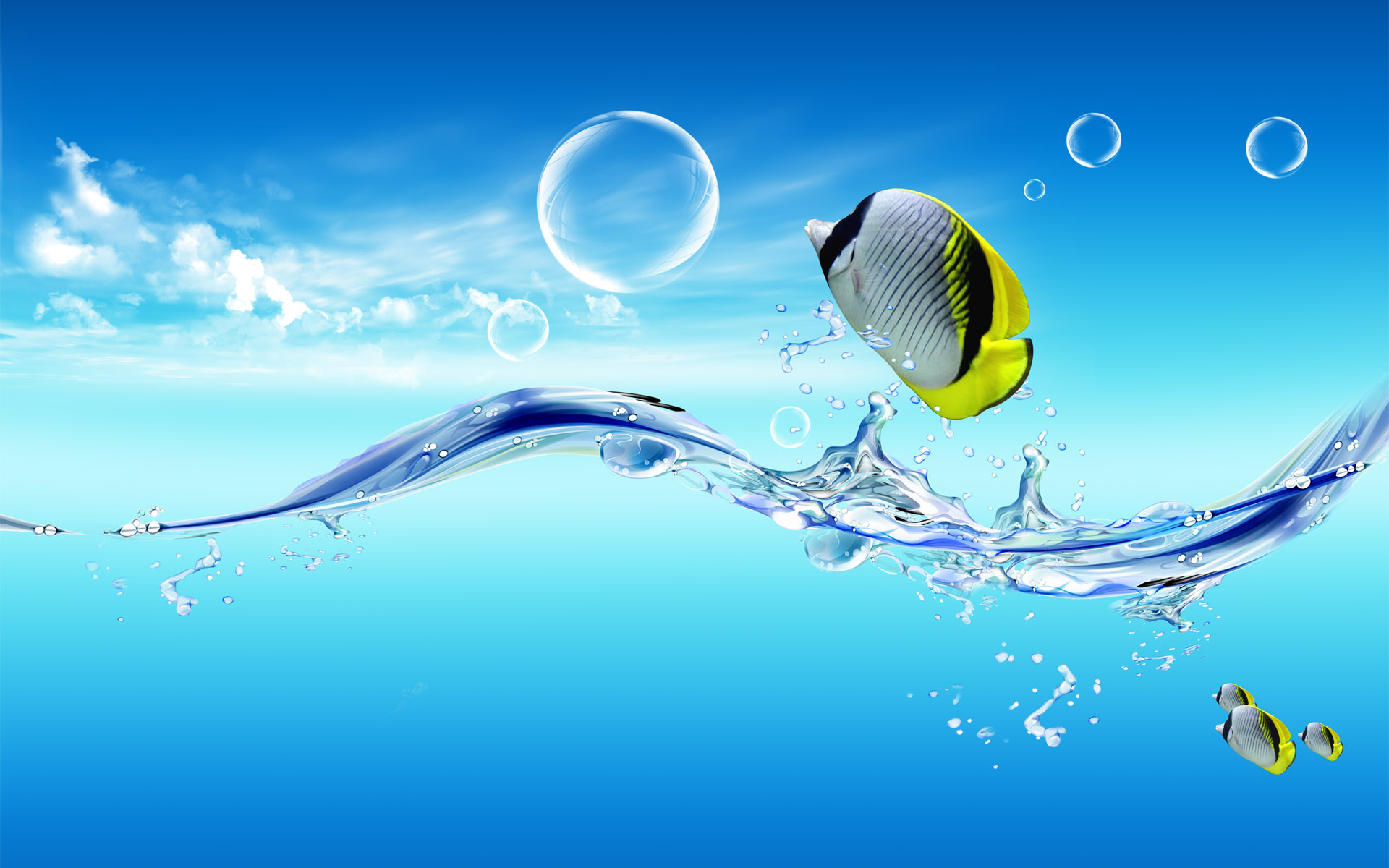 desktop fish hd images wallpaper