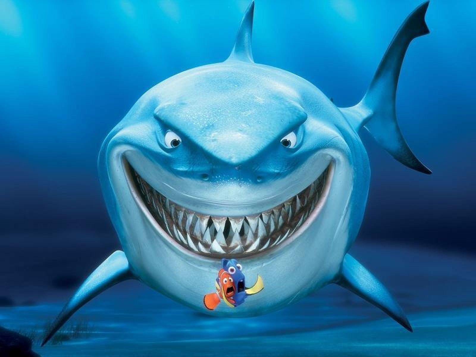 hd animated fish wallpapers dowload