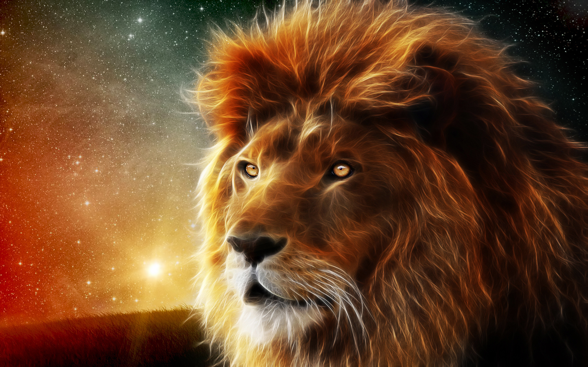 hd wild lions wallpaper