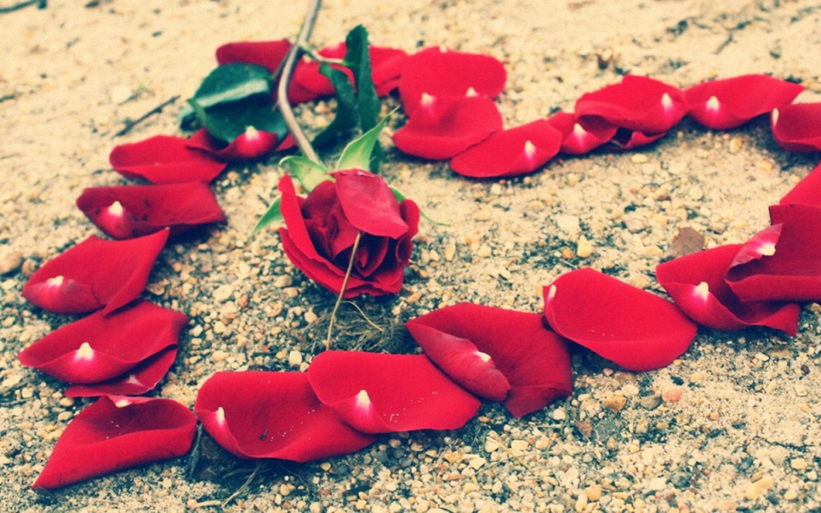 free downloads pictures s