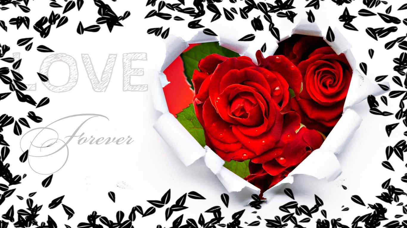 love hd wallpaper download free