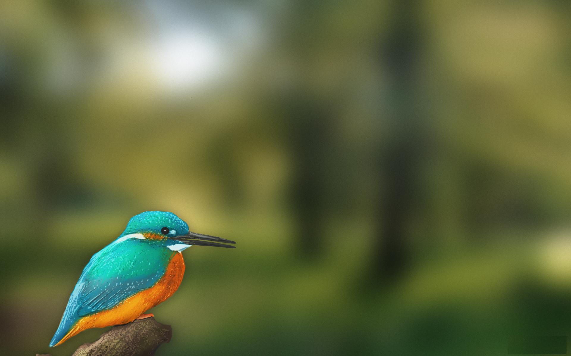 lovely hd wallpaper free download