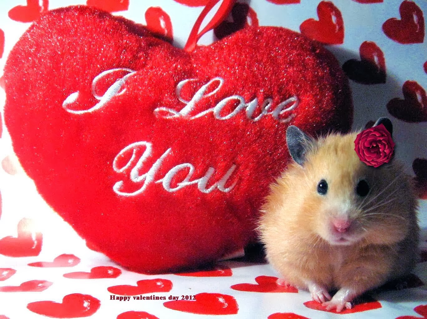 romantic pictures s love