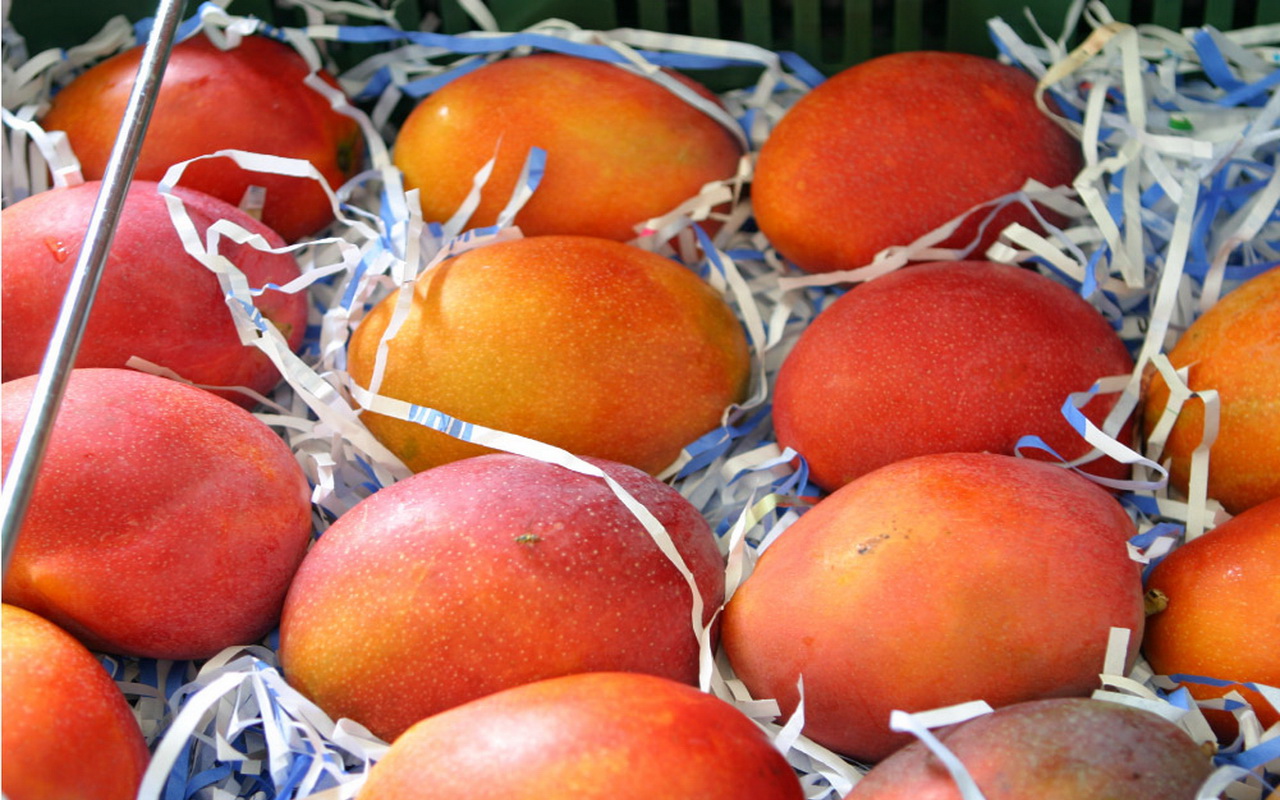 desktop mango fruit pictures