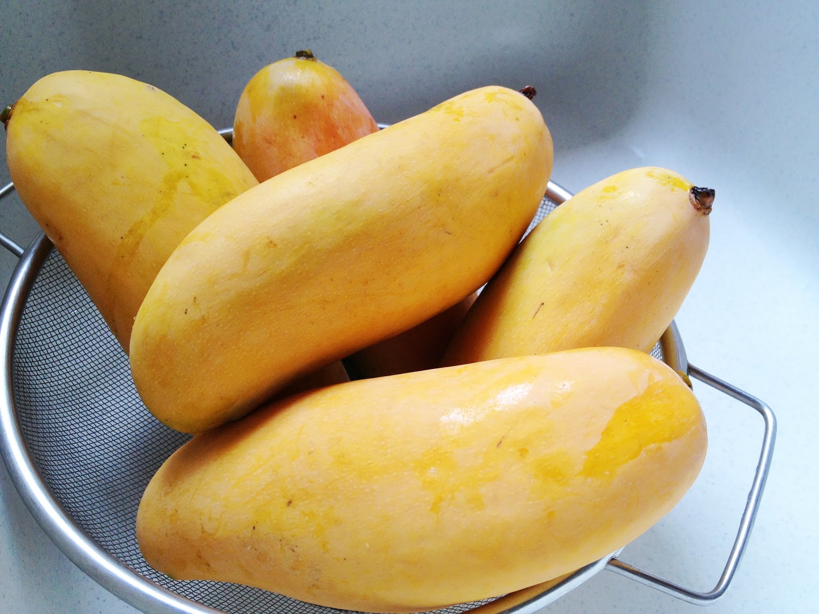 mango fruits pics wallpaper