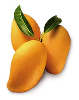 mango pics fruit wallpaper