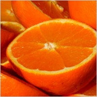 orange fruit pics dowload