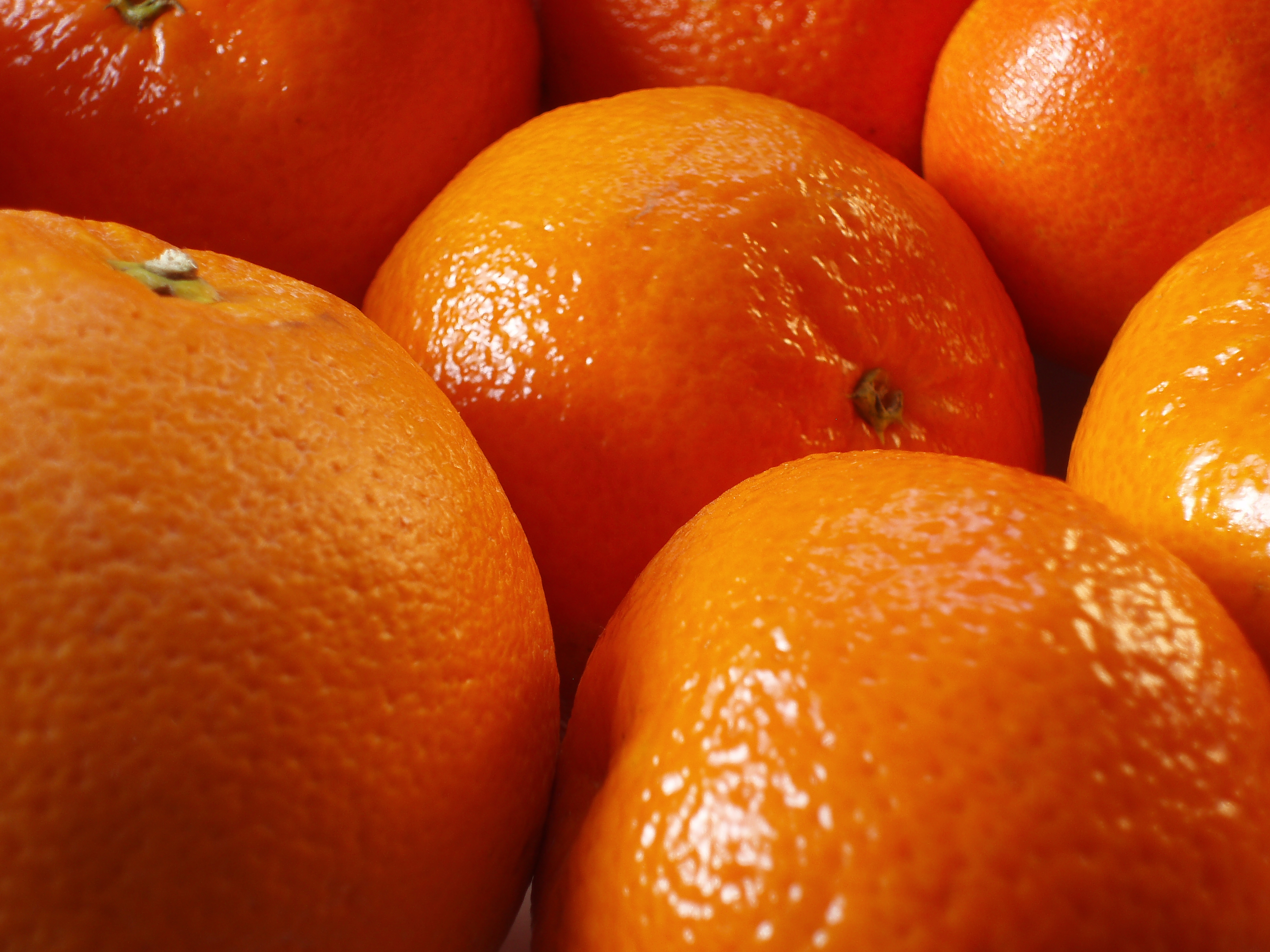 orange fruit pics