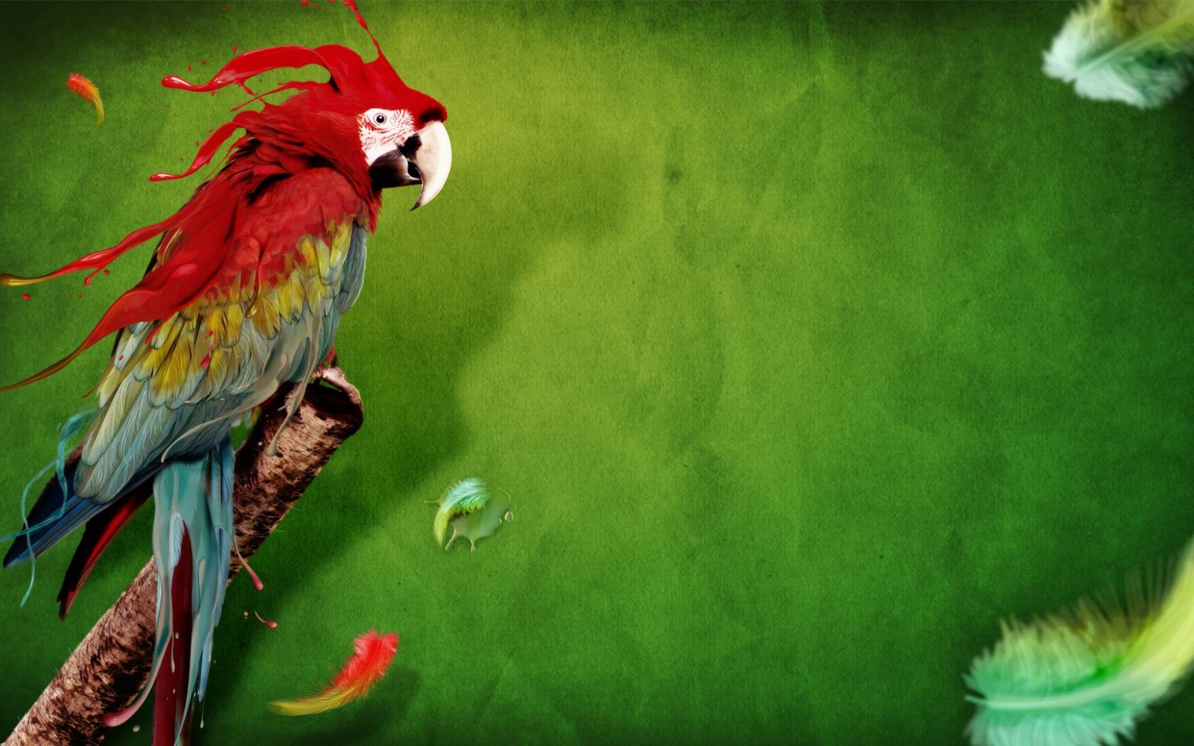 colorful bird parrot green background dowload
