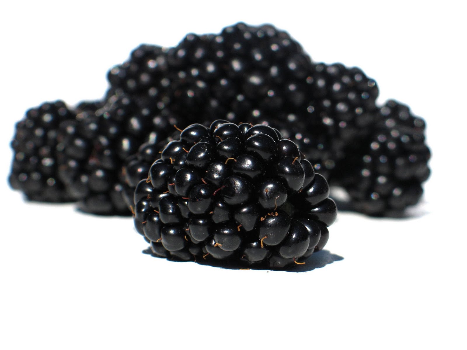 desktop blackberry pictures fruit
