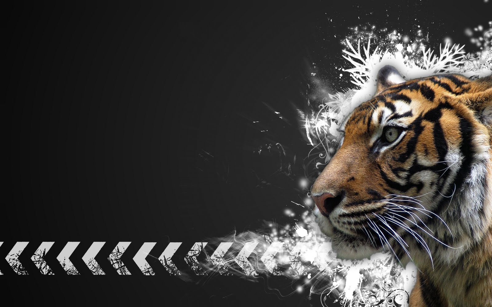 tiger high quality wallpaper