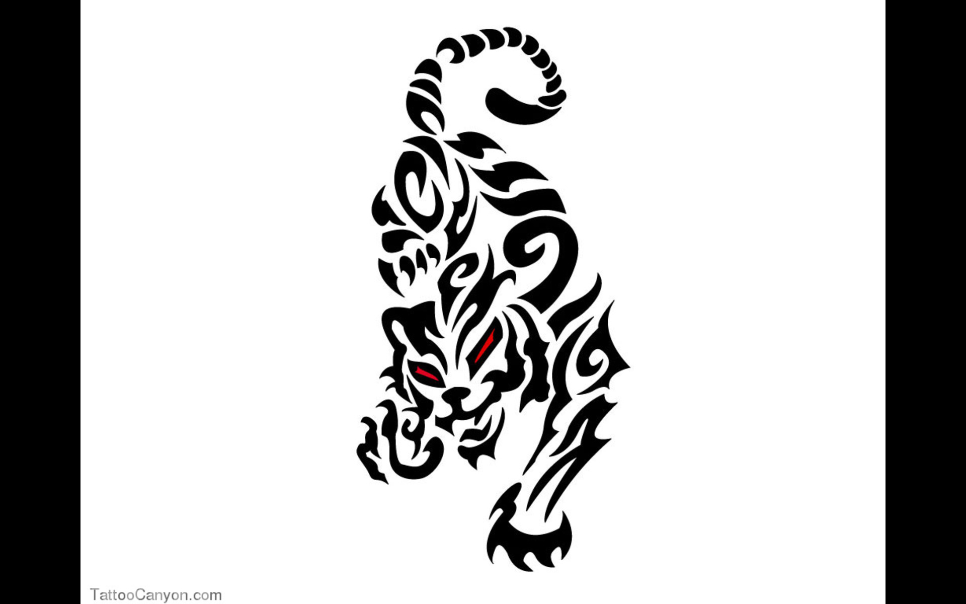 tiger image clipart wallpaper